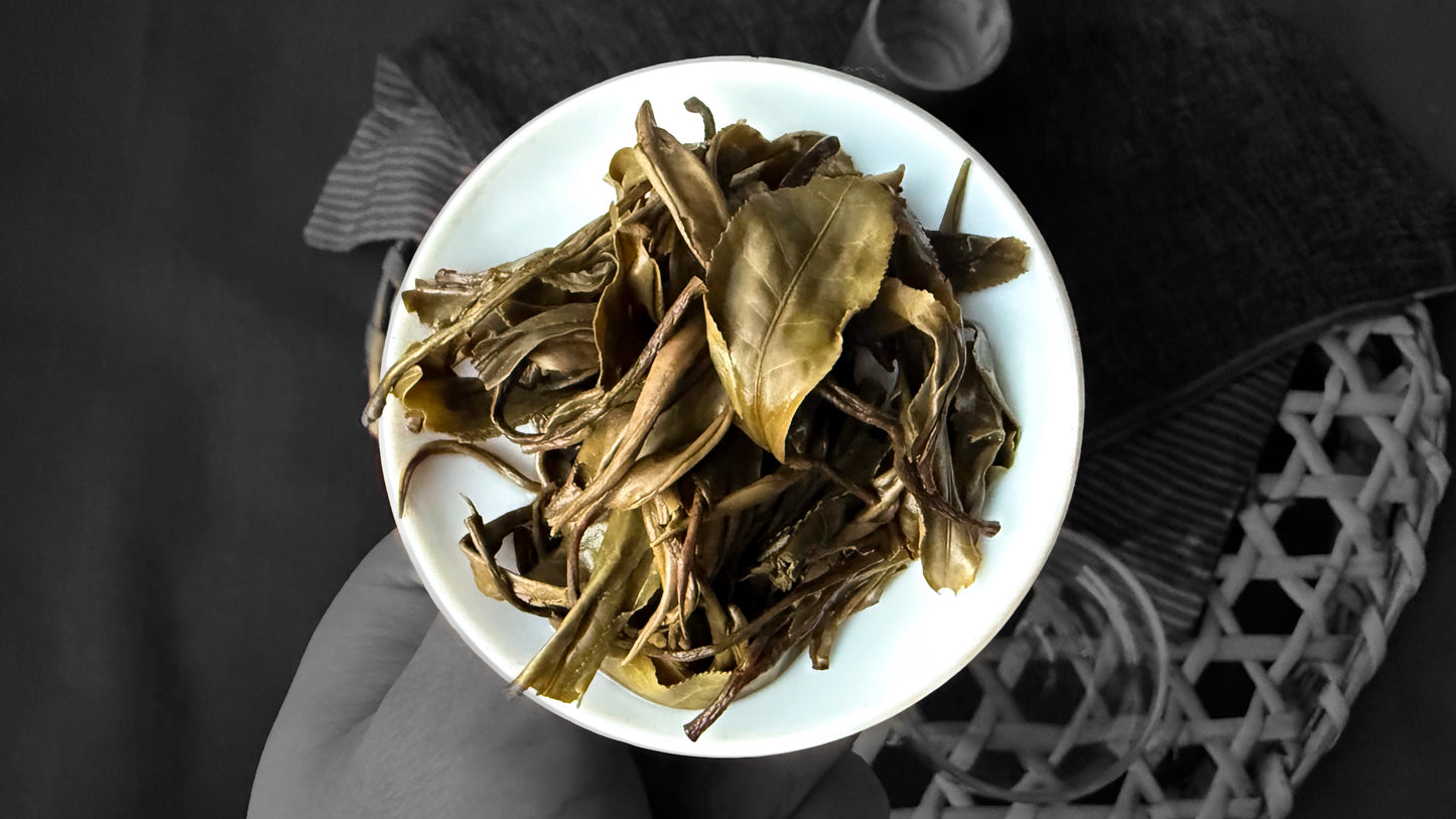 ハザン 生プーアル茶 30g