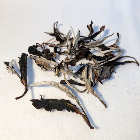 スオイザン月茶 moontea (白茶) 30g