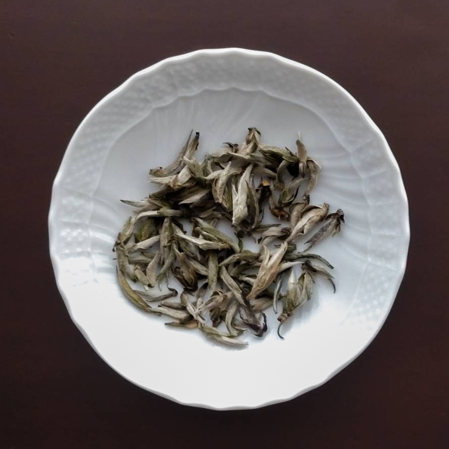 Suoi Giang Old Tree Snow Tea (Tea made from only new buds) 15g