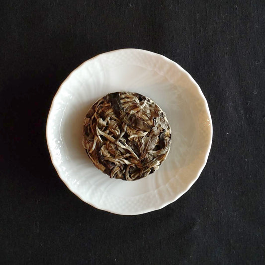 月餅茶の茶餅。白磁の小皿に載った、満月のような円形の固形白茶